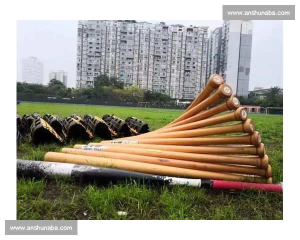 台湾教练吕金霖:在闽西客家祖地挥棒架起两岸棒球桥梁 台湾教练吕金霖:在闽西客家祖地挥棒架起两岸棒球桥梁